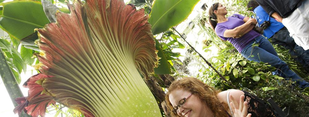 A woman with curly red hair and glasses reacts excitedly next to a blooming corpse flower (*Amorphophallus titanum*) in a greenhouse, with other visitors observing in the background.