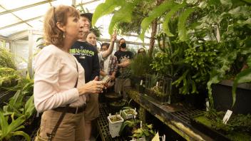 A group of people inside a greenhouse, surrounded by lush green plants, as a woman in a pink sweater looks up at the foliage.