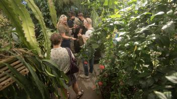 A group of people walks through a lush greenhouse, observing various plants and engaging in discussions.
