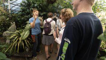 A tour guide gestures while speaking to a group in a greenhouse, surrounded by diverse plant species.