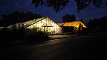 Greenhouse illuminated at night, glowing warmly under a dark sky with visible reflections on the wet road.