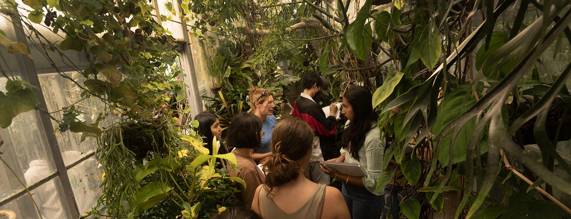A group of students with notebooks gathers inside a lush greenhouse, surrounded by various plants, as an instructor leads a discussion.