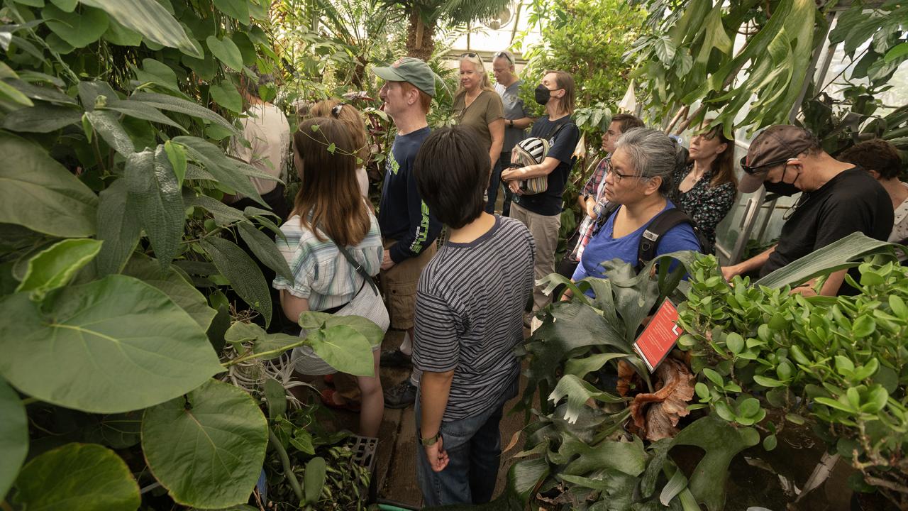 A group of visitors in a densely packed greenhouse, looking at and learning about various plant species.