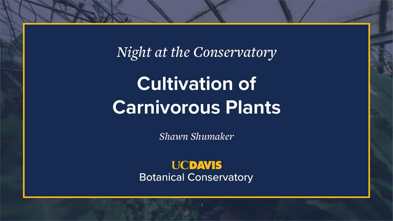 A digital event slide for Night at the Conservatory at UC Davis Botanical Conservatory. The slide has a navy blue background with white and yellow text, featuring the title Cultivation of Carnivorous Plants by Shawn Shimulunas. A blurred greenhouse image is visible in the background.