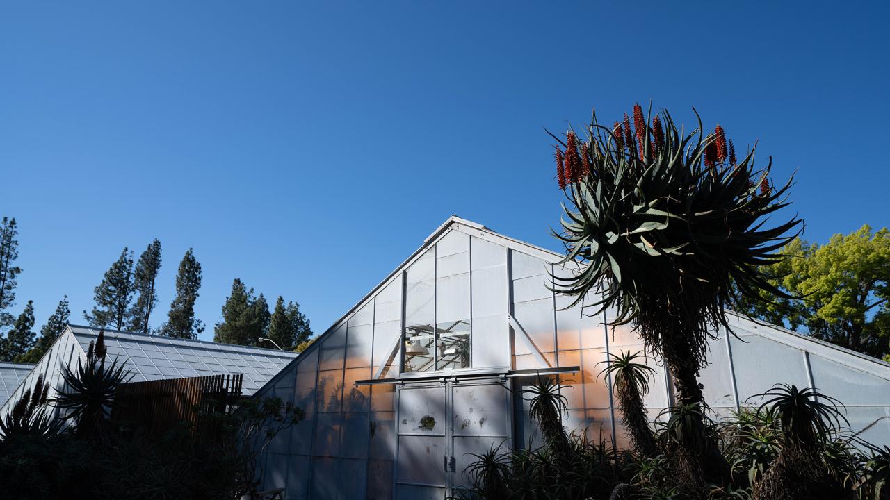 Exterior of greenhouse