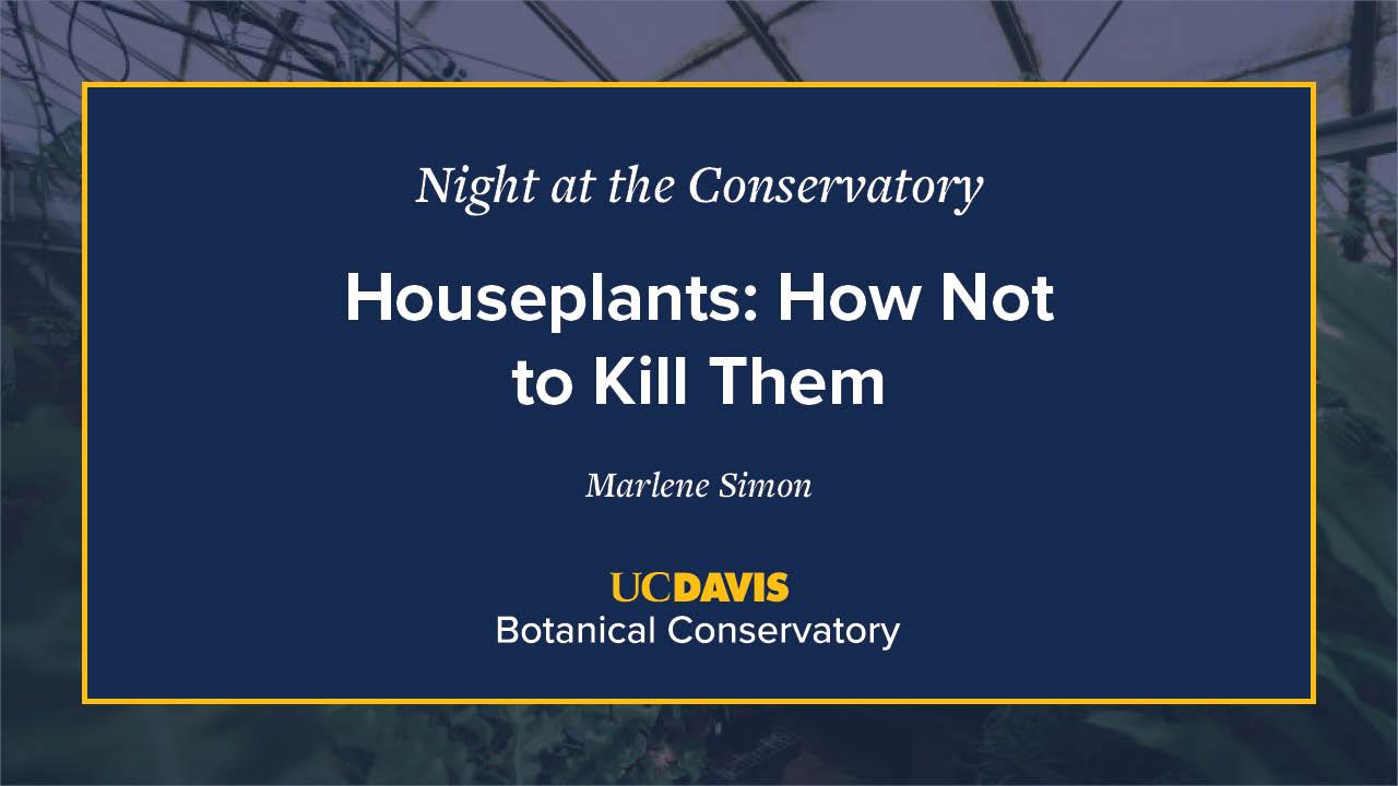 A digital event slide for Night at the Conservatory at UC Davis Botanical Conservatory. The slide has a navy blue background with white and yellow text, featuring the title Houseplants: How Not to Kill Them by Marlowe Slaton. A blurred greenhouse image is visible in the background.
