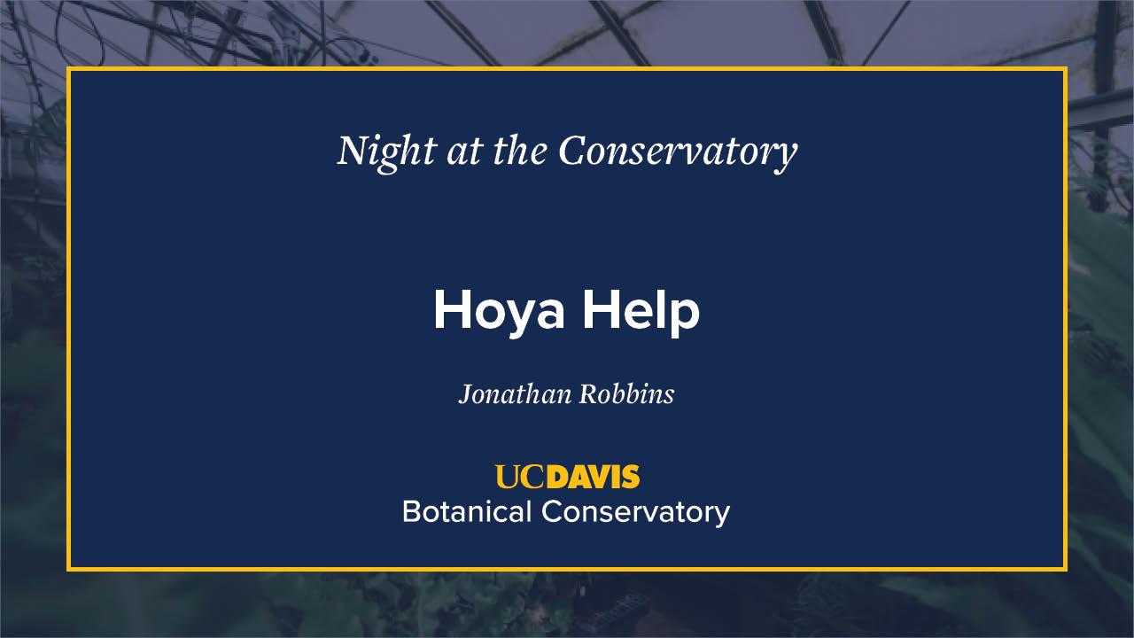 A digital event slide for Night at the Conservatory at UC Davis Botanical Conservatory. The slide has a navy blue background with white and yellow text, featuring the title Hoya Help by Jonathan Robbins. A blurred greenhouse image is visible in the background.