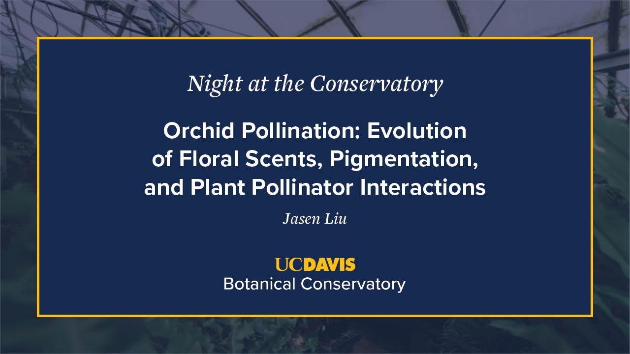 A digital event slide for Night at the Conservatory at UC Davis Botanical Conservatory. The slide has a navy blue background with white and yellow text, featuring the title Orchid Pollination: Evolution of Floral Scents, Pigmentation, and Plant Pollinator Interactions by Jason Lin. A blurred greenhouse image is visible in the background.