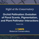 A digital event slide for Night at the Conservatory at UC Davis Botanical Conservatory. The slide has a navy blue background with white and yellow text, featuring the title Orchid Pollination: Evolution of Floral Scents, Pigmentation, and Plant Pollinator Interactions by Jason Lin. A blurred greenhouse image is visible in the background.