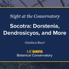 A digital event slide for Night at the Conservatory at UC Davis Botanical Conservatory. The slide has a navy blue background with white and yellow text, featuring the title Socotra: Dorstenia, Dendrosicyos, and More by Gianluca Bacci. A blurred greenhouse image is visible in the background.