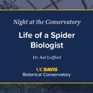 A digital event slide for Night at the Conservatory at UC Davis Botanical Conservatory. The slide has a navy blue background with white and yellow text, featuring the title Life of a Spider Biologist by Dr. Joel Ledford. A blurred greenhouse image is visible in the background.