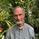 A man surrounded by plants