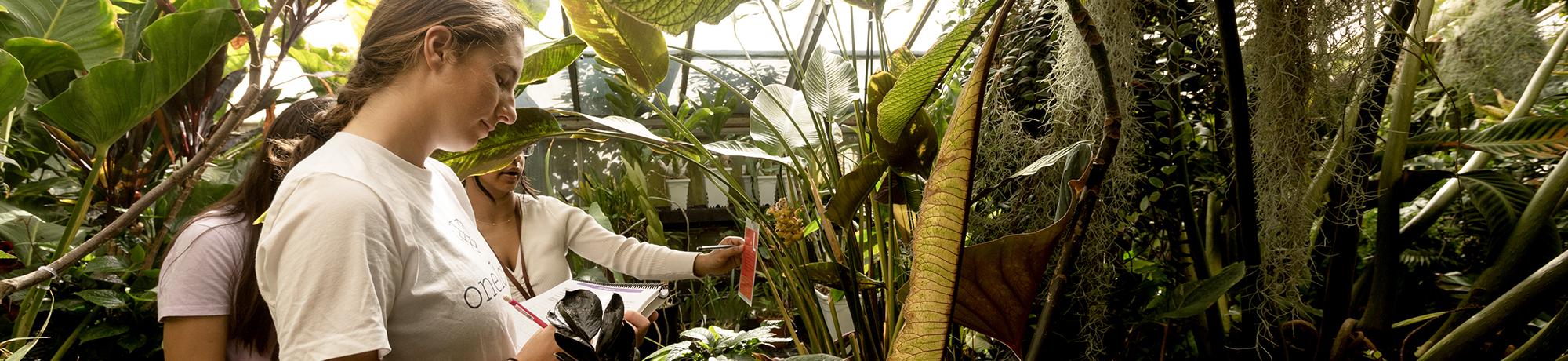 Students in a lush greenhouse environment observe and take notes on various tropical plants, surrounded by large leaves and hanging moss.
