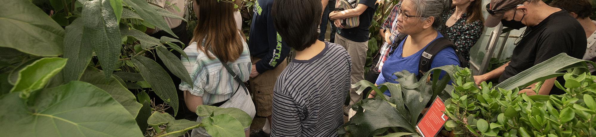 A group of visitors in a densely packed greenhouse, looking at and learning about various plant species.